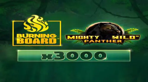 Mighty Wild™: Panther Burning Board™ - Spin City - Lesotho