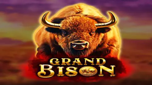 Grand Bison - Spin City - Lesotho