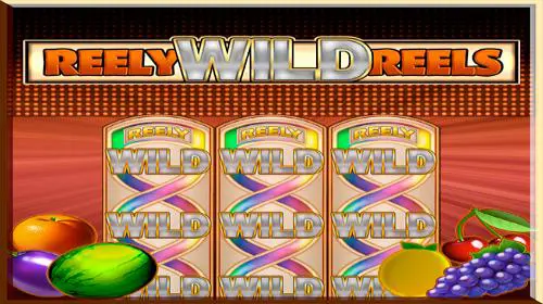 Reely Wild Reels - Spin City - Lesotho