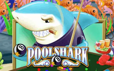 Pool Shark - Spin City - Lesotho
