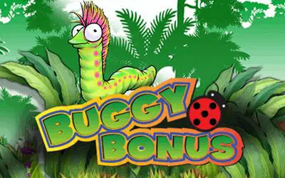 Buggy Bonus - Spin City - Lesotho