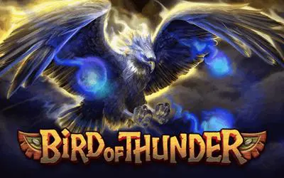 Bird of Thunder - Spin City - Lesotho