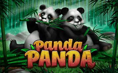 Panda Panda - Spin City - Lesotho