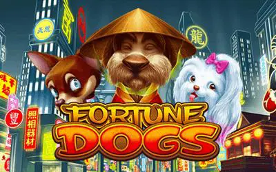 Fortune Dogs - Spin City - Lesotho