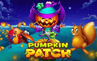 Pumpkin Patch - Spin City - Lesotho