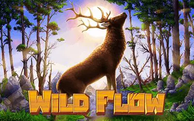 Wild Flow - Spin City - Lesotho