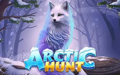 Arctic Hunt - Spin City - Lesotho