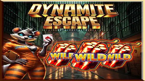 Dynamite Escape - Spin City - Lesotho
