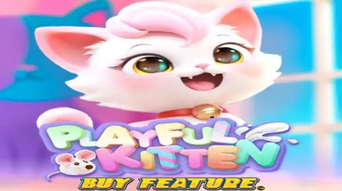 Playful Kitten Buy Feature - Spin City - Lesotho