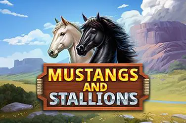 Mustangs And Stallions - Spin City - Lesotho