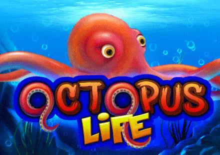 Octopus Life - Spin City - Lesotho