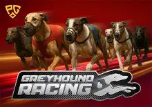 Greyhound Racing - Spin City - Lesotho