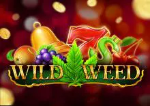 Wild Weed - Spin City - Lesotho