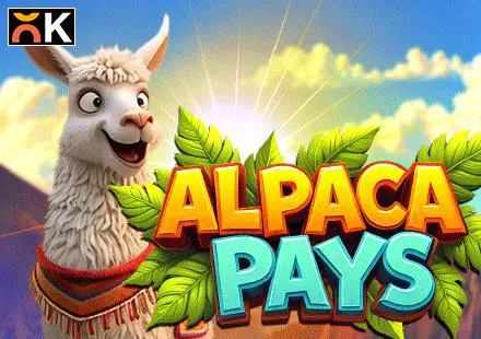 Alpaca Pays - Spin City - Lesotho