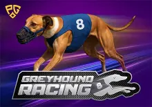 8 Greyhound Racing - Spin City - Lesotho