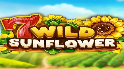 Wild Sunflower - Spin City - Lesotho