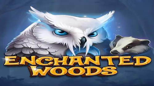 Enchanted Woods - Spin City - Lesotho