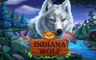 Indiana Wolf - Spin City - Lesotho