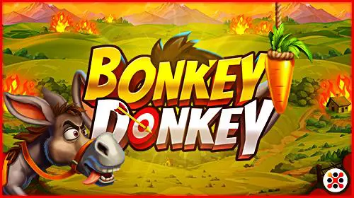 Bonkey Donkey - Spin City - Lesotho