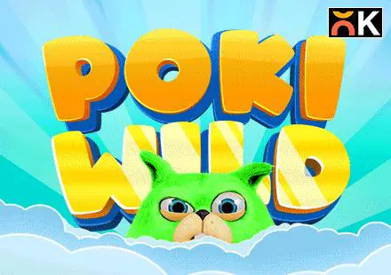 Poki Wild - Spin City - Lesotho