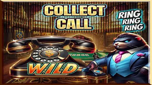 Collect Call - Spin City - Lesotho