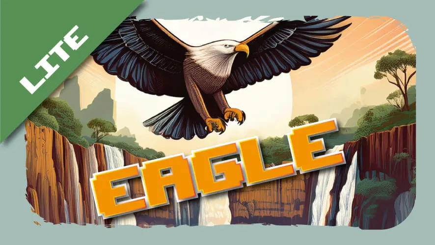 Eagle - Spin City - Lesotho