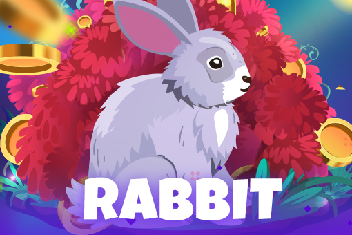Rabbit - Spin City - Lesotho