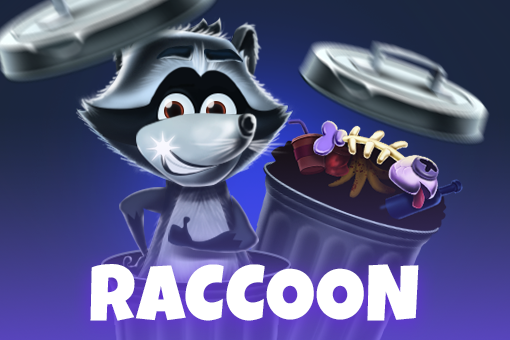 Raccoon - Spin City - Lesotho
