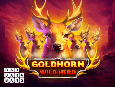 Goldhorn Wild Herd - Spin City - Lesotho