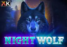Night Wolf - Spin City - Lesotho