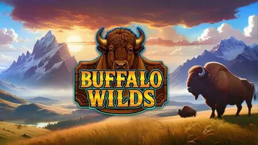 Buffalo Wilds - Spin City - Lesotho