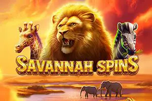 Savannah Spins - Spin City - Lesotho