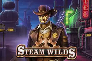 Steam Wilds - Spin City - Lesotho