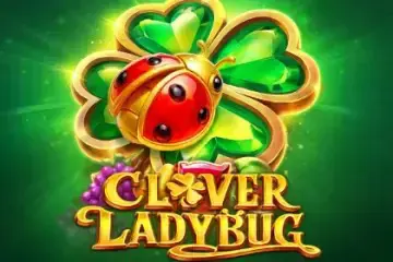 Clover Ladybug - Spin City - Lesotho