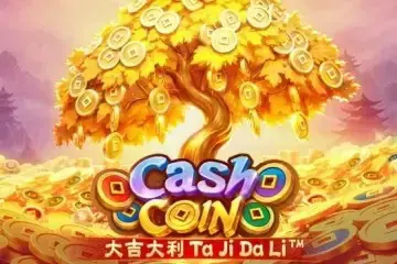 Cash Coin - Spin City - Lesotho