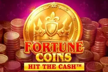 Fortune Coins - Spin City - Lesotho