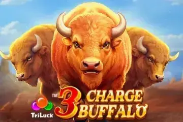3 Charge Buffalo - Spin City - Lesotho