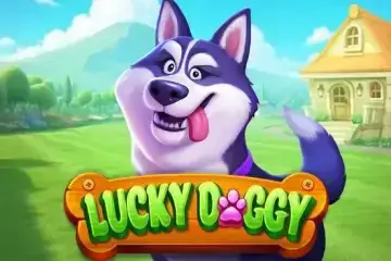 Lucky Doggy - Spin City - Lesotho