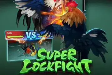 Super Cockfight - Spin City - Lesotho
