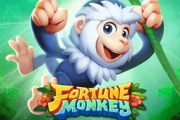 Fortune Monkey - Spin City - Lesotho