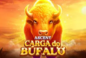 Charge Buffalo ASCENT - Spin City - Lesotho