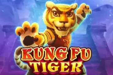 Kung Fu Tiger - Spin City - Lesotho