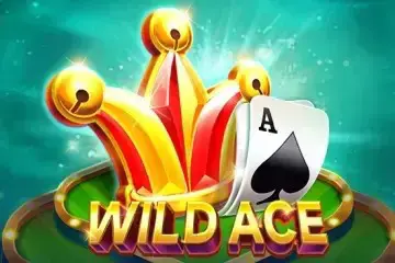 Wild Ace - Spin City - Lesotho