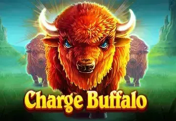 Charge Buffalo - Spin City - Lesotho