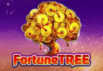Fortune Tree - Spin City - Lesotho