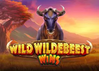 Wild Wildebeest Wins - Spin City - Lesotho