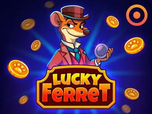 Lucky Ferret - Spin City - Lesotho