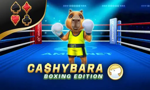 Cashybara Boxing Edition - Spin City - Lesotho