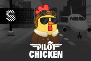 Pilot Chicken - Spin City - Lesotho