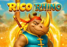 Rico Rhino - Spin City - Lesotho